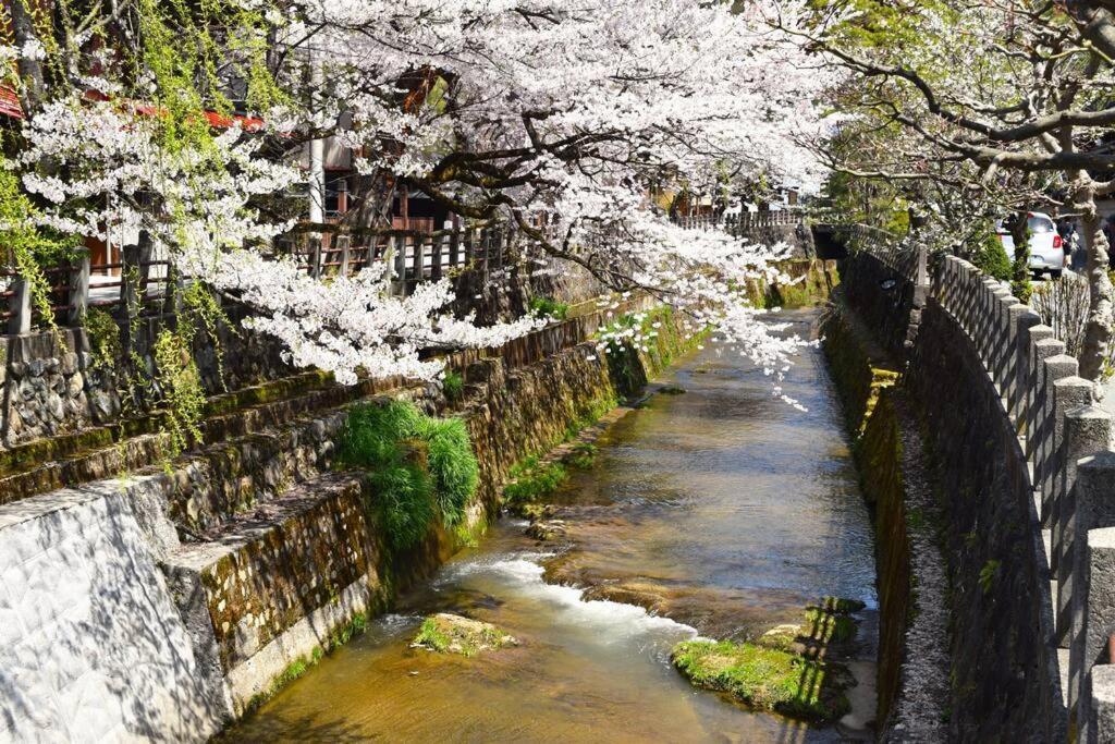 Komorebi/こもれび Takayama  Esterno foto